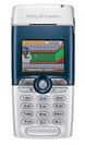 Sony Ericsson T316 World Phone