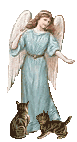 Small angel for cats